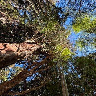 みなさんにもパワーを✨💪💪✨