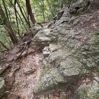 足元注意