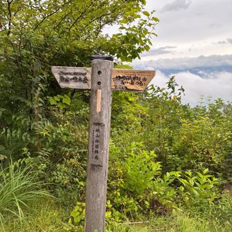 池山林道終点