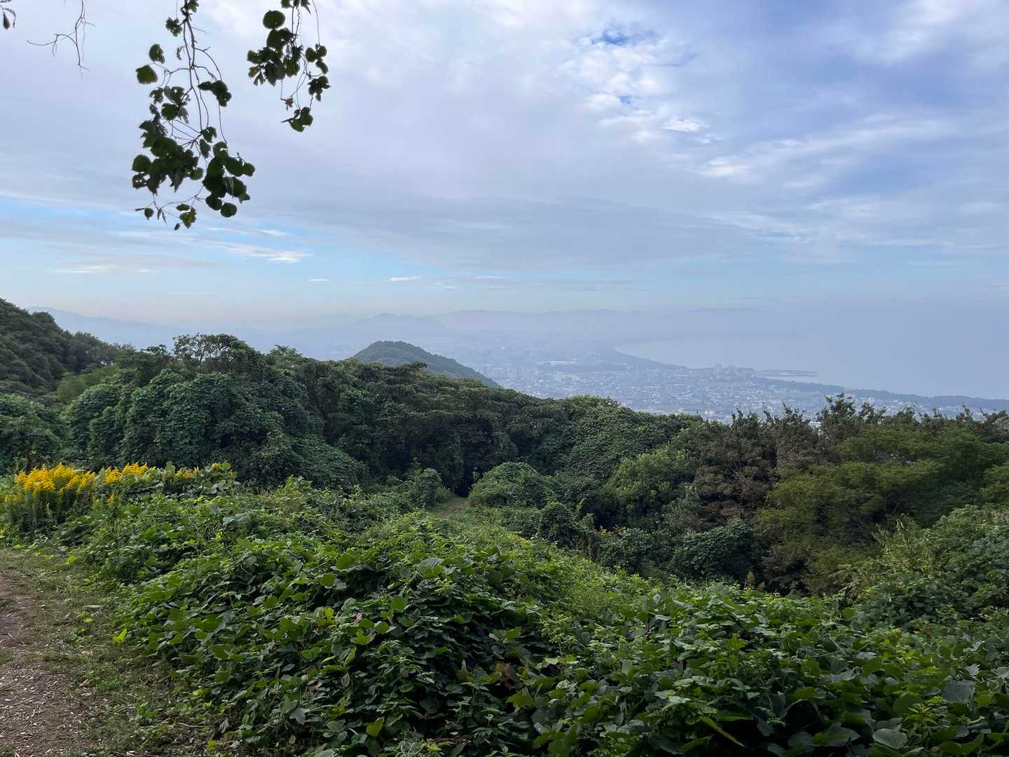 真ん中のモヤの中に、いつもの立花山がありました