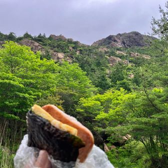 次なる八巻山を見上げて

れもんさんお手製の沖縄おにぎりでパワーアップ💪