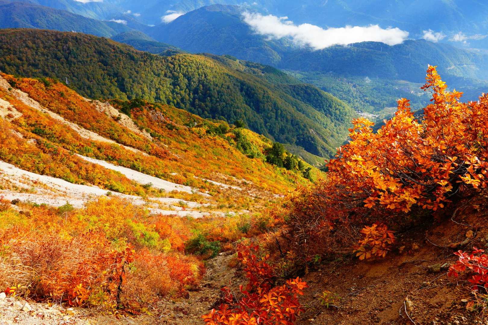鶴平新道登山口-赤頭山-野谷荘司山-馬狩荘司山-三方岩岳 周回コースの写真