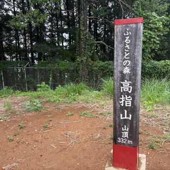 高指山の山頂。この辺りで霧雨に降られましたが涼しかったので良しとします😁