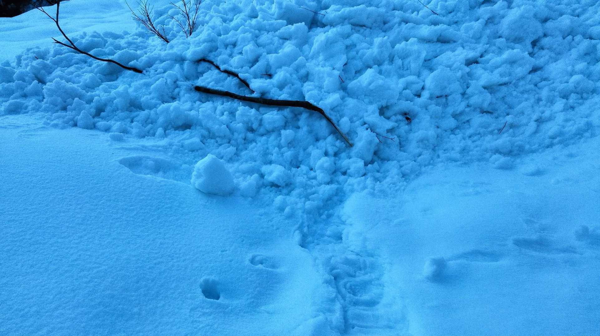 来た道が雪崩によって塞がれてます！
林道歩きも気おつけないといけませんね。