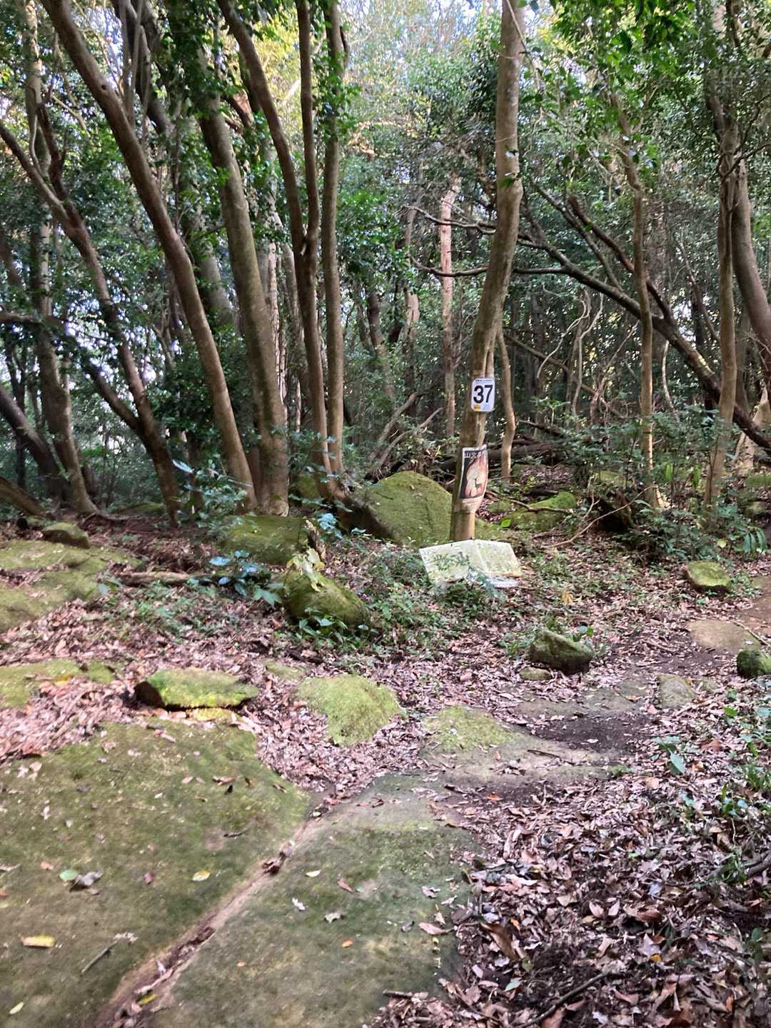 青牧峠　牧山へ向かいます🫡