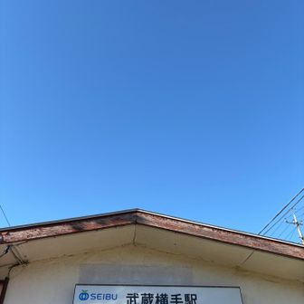 近くのグレーピークも気になるけど今日はここでおしまい

せっかくだし飯能百名山制覇目指してみようかな…？