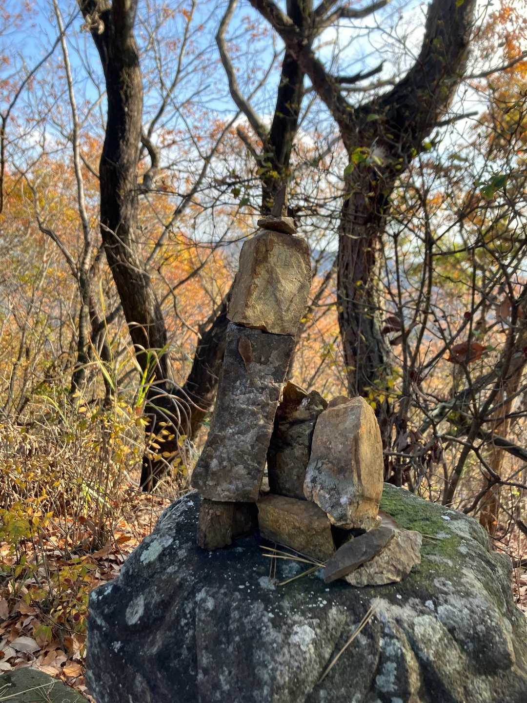 大坊山 往復コースの写真