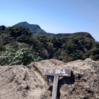 前回、気付かずトラバースしちゃった小鋸山山頂。