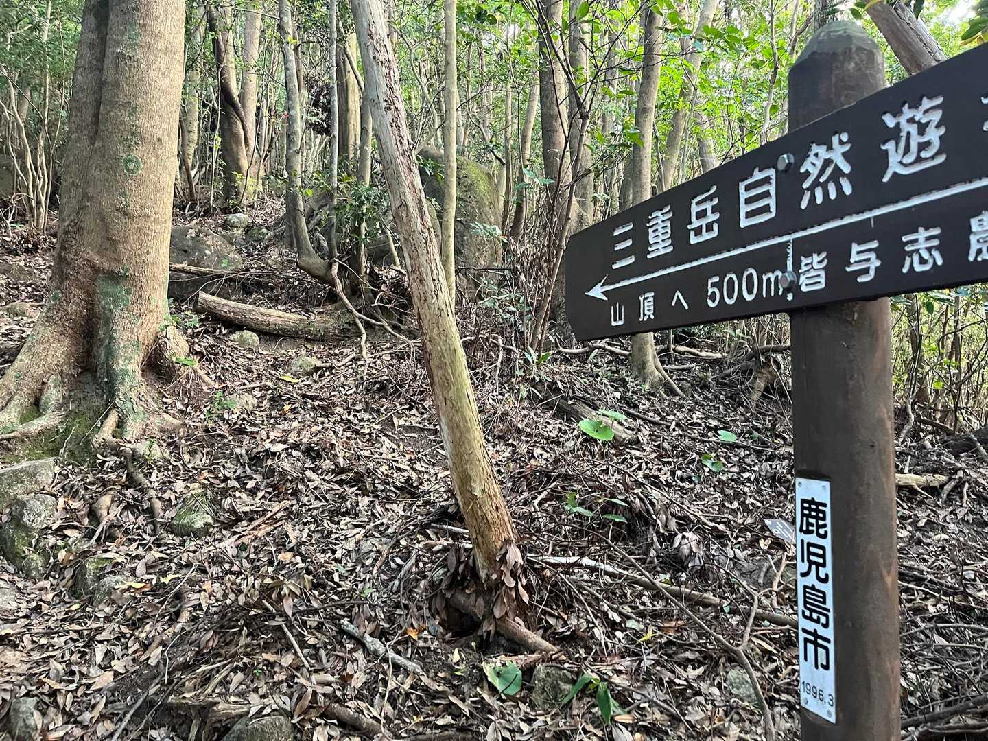 自然遊歩道というより
登山道ですよねー😆急登です