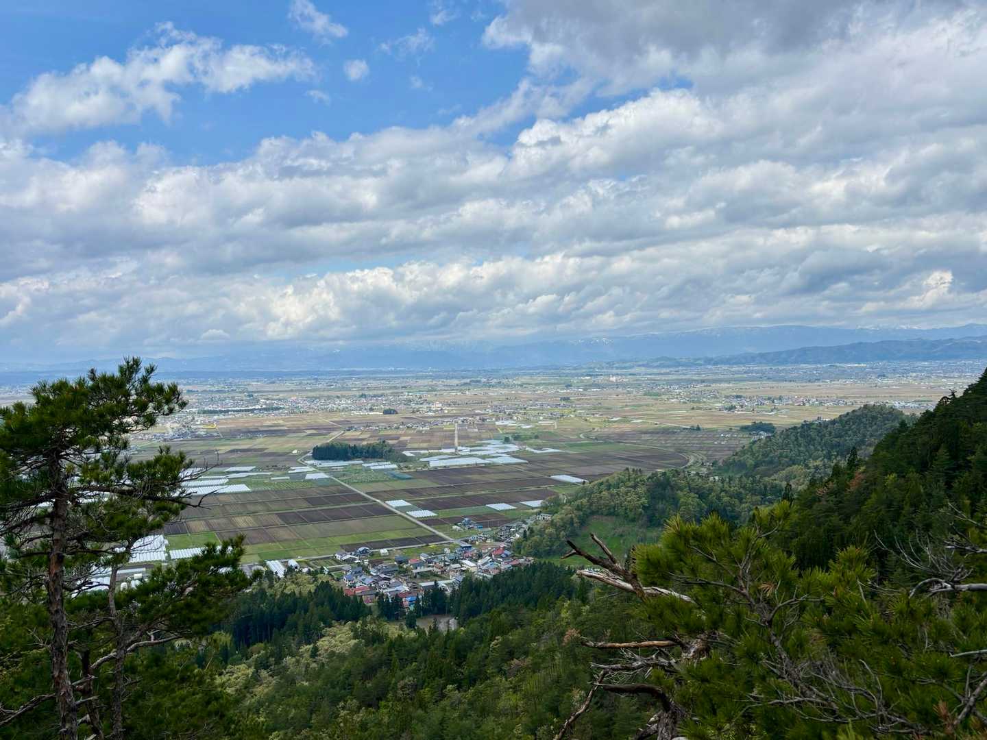 下山は踏み跡薄めの尾根を歩いてみました。
天候も回復の兆しです🌤️