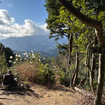 糠塚山山頂⛰️
先着者1名