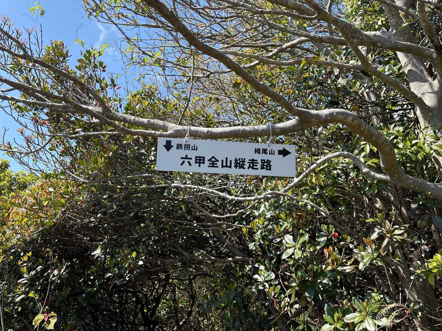 約51K？
縦走する人はすごーい