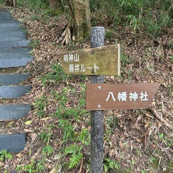 藤井ルートから下山しました