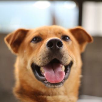 たくちゃん（tactice）