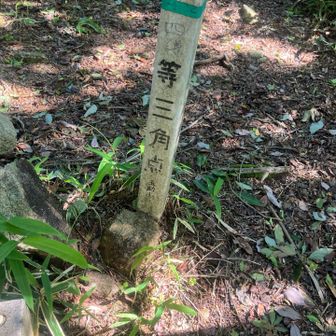 五助山頂上⛰️
標高は低いけど、取付きからずっと急登❗️そして、ここから縦走路までも急登という地獄💦