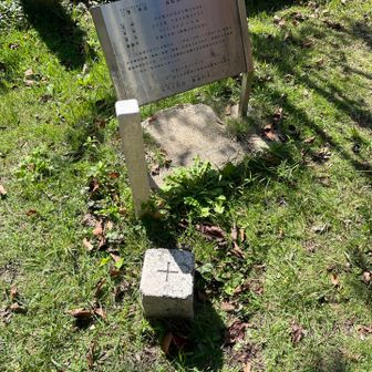 西峰の荒熊神社の鳥居⛩️が並んでいるところの横に三角点があります。