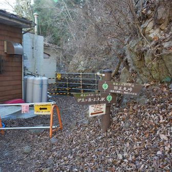 奥村茶屋の脇だけが通れないみたい