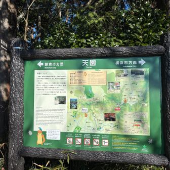 天園。でも眺望は今ひとつ