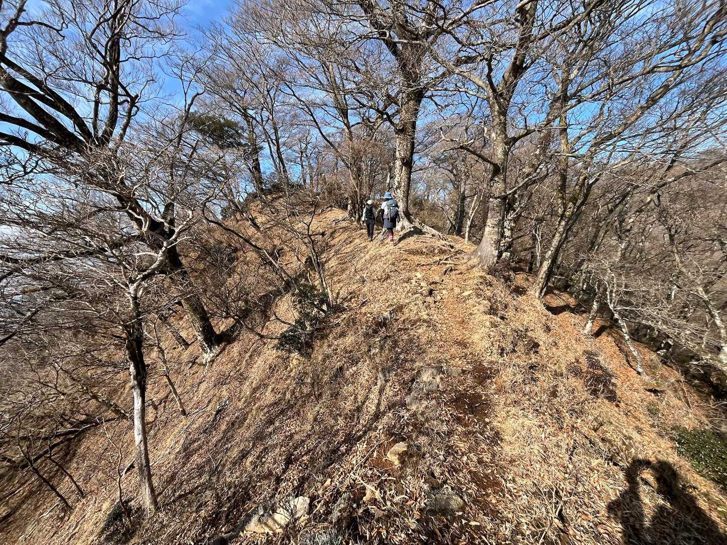 緩やかな稜線歩きが暫く続きます