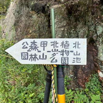 こっち