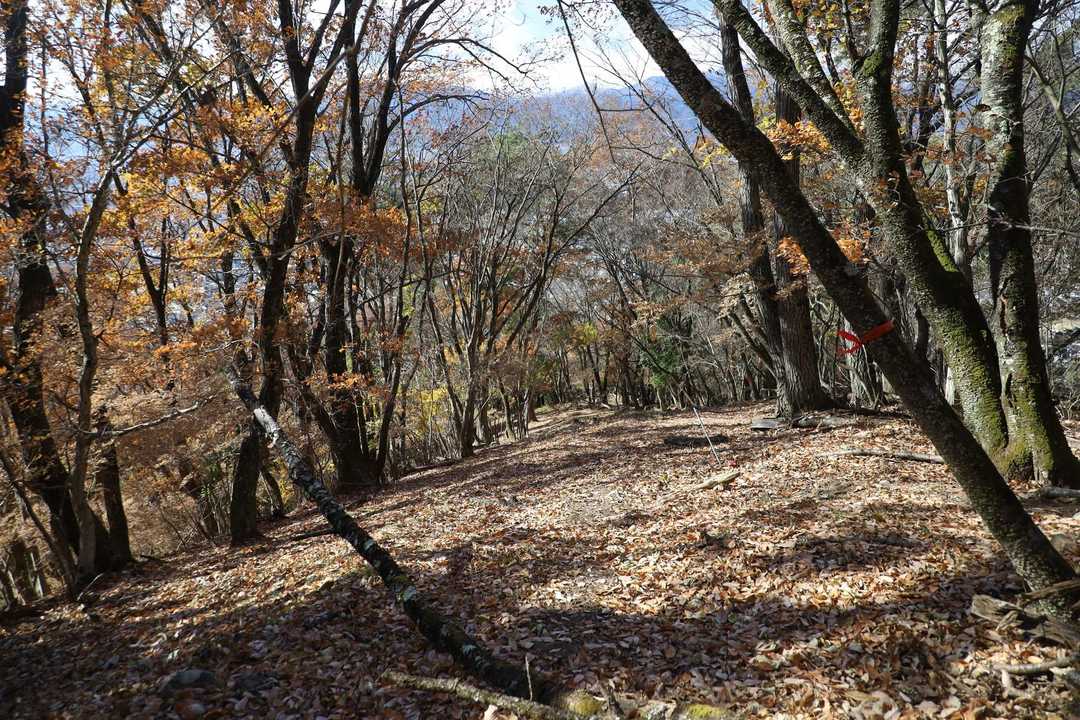 ピンテで左に曲がる