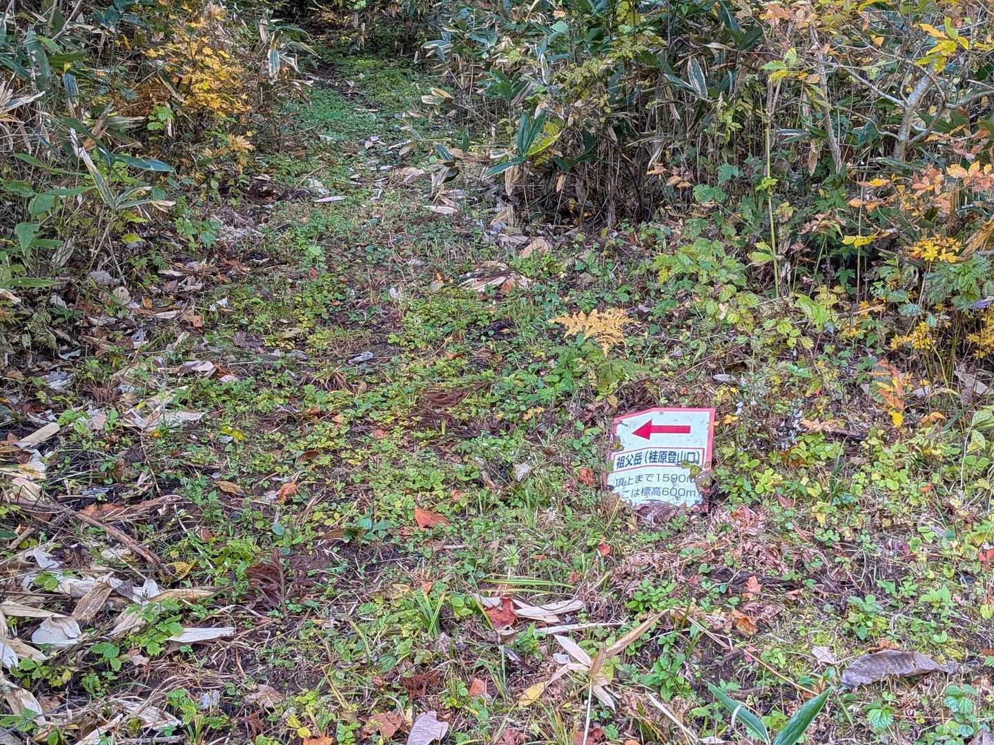 桂原登山口から行きます