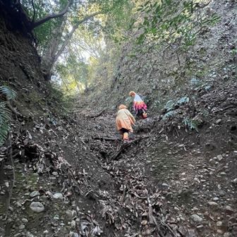 急登を進みます