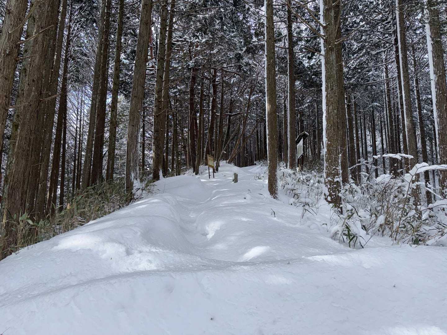 分岐　風越山阻むかの如くの雪壁w明日行くか⁉︎