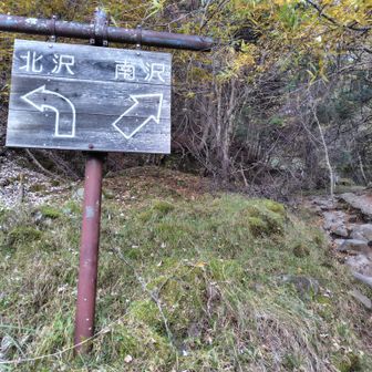 北沢ルートの分岐点到着💡