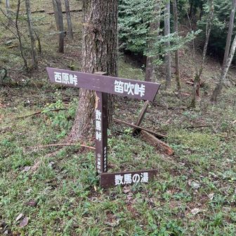 数馬峠に着いて