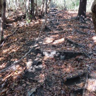 いきなりロープ場の激登り
アキレス腱とふくらはぎが伸びる〜😖  この激登りが結構長く続きました😮‍💨