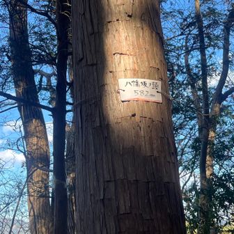 八幡坂ノ頭
ここから竹寺方面に下っていくと。。。