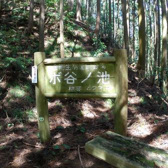 ボ谷ノ池（なぜカタカナ？）