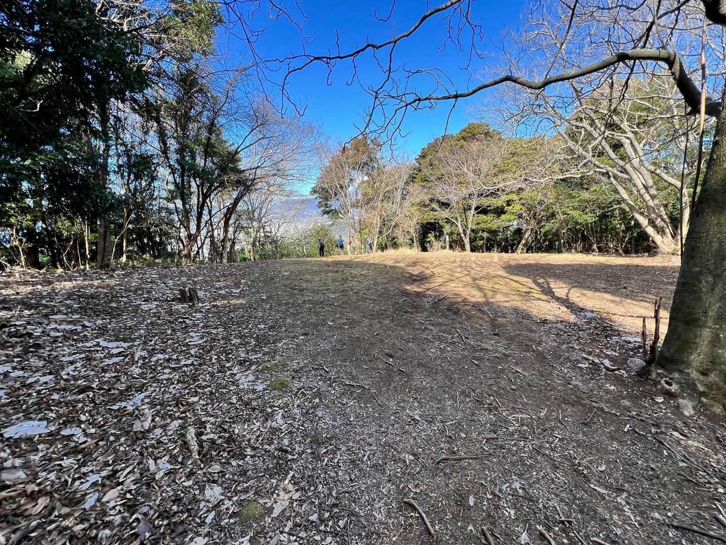 やたらと広い広場が突然現れました😲