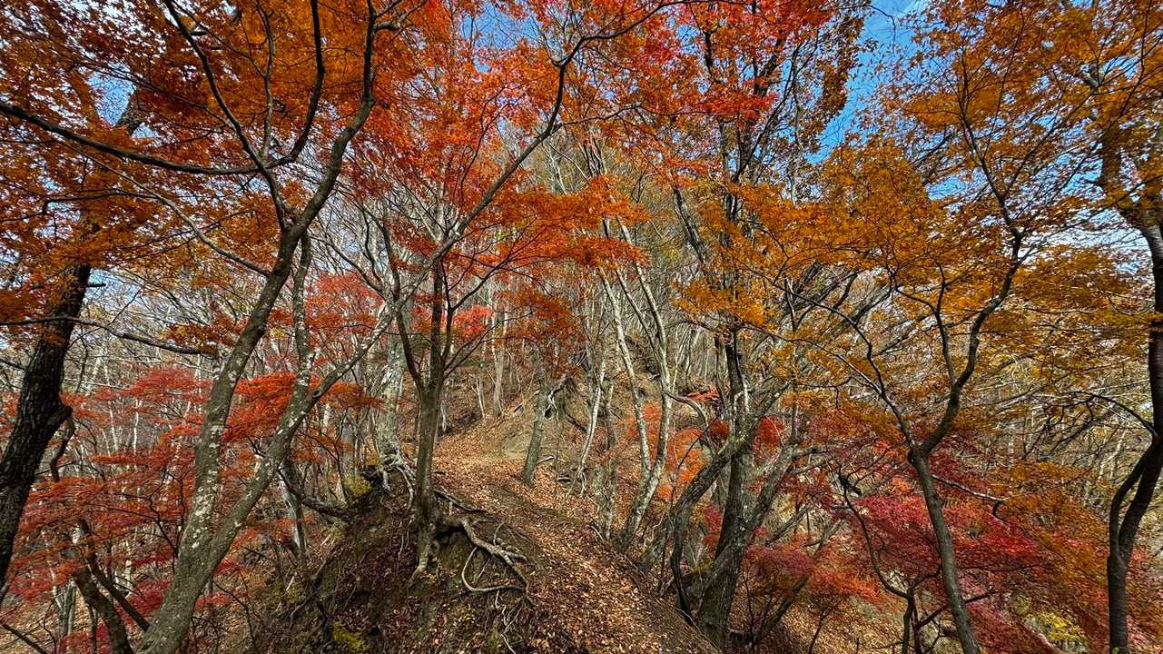 蛾ヶ岳・大畠山 の写真 7