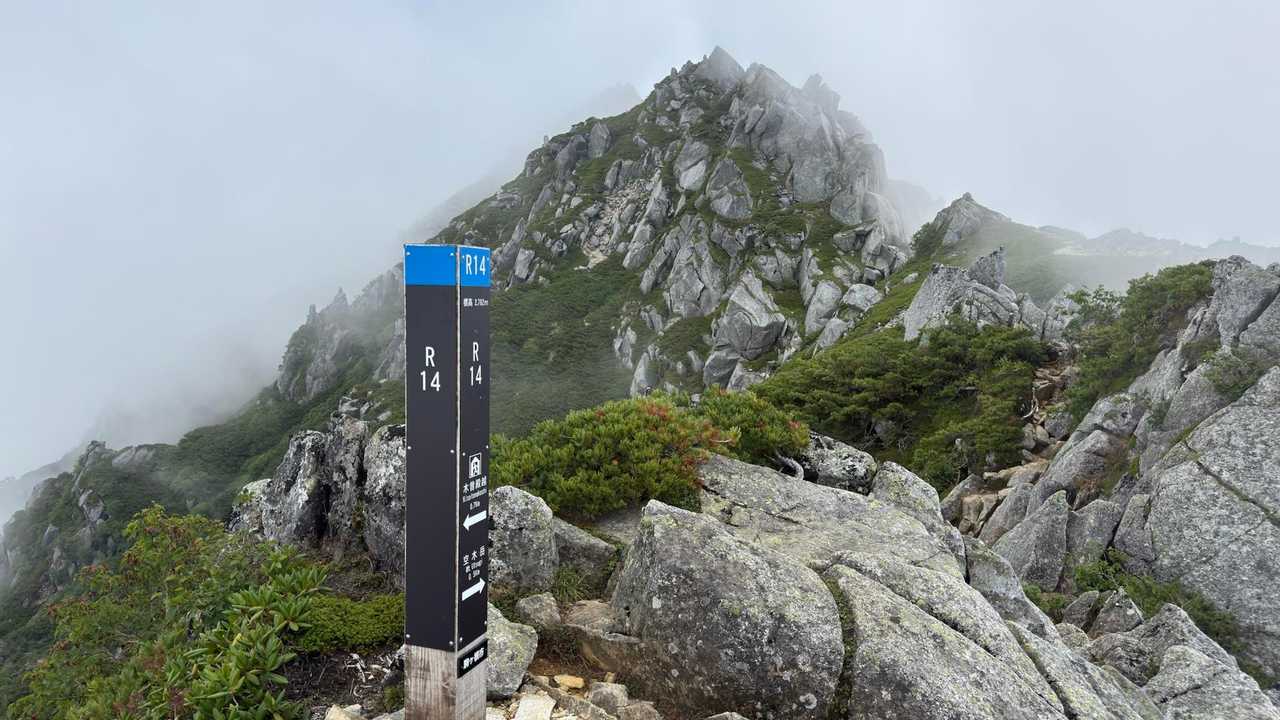 R14