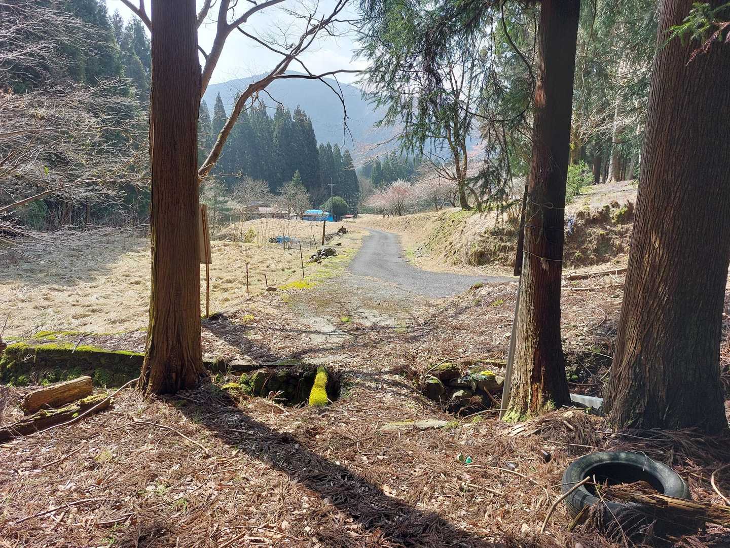 登山口に戻ってきました🎵
下山途中にスライド1名、完全ソロは回避👏