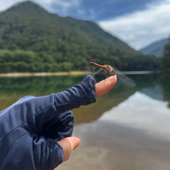 誰ともスライドせず
二人でまったりと
復活の喜びをかみして
歩きます