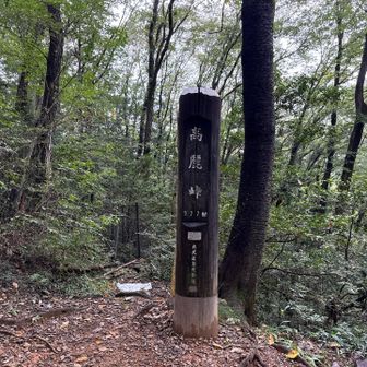 高麗峠到着