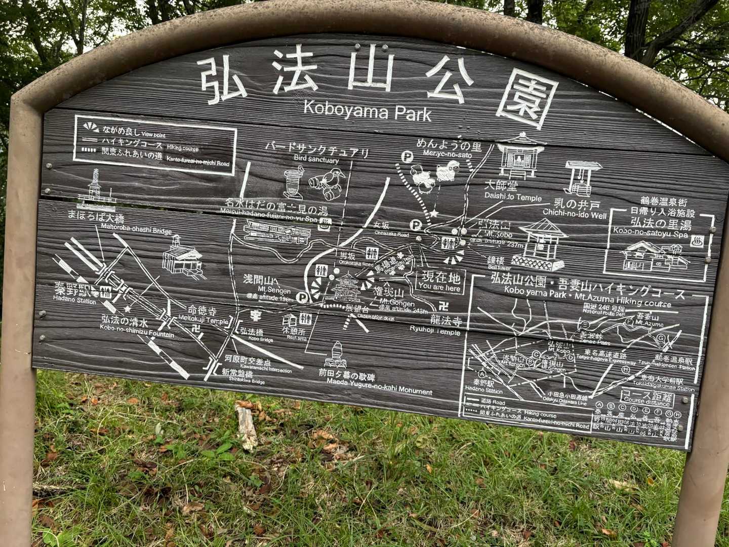 ハイキングコース