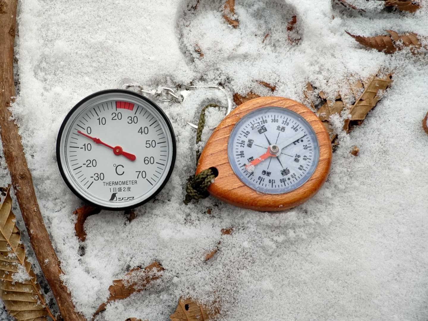 氷点下🥶でも寒くはなかった。