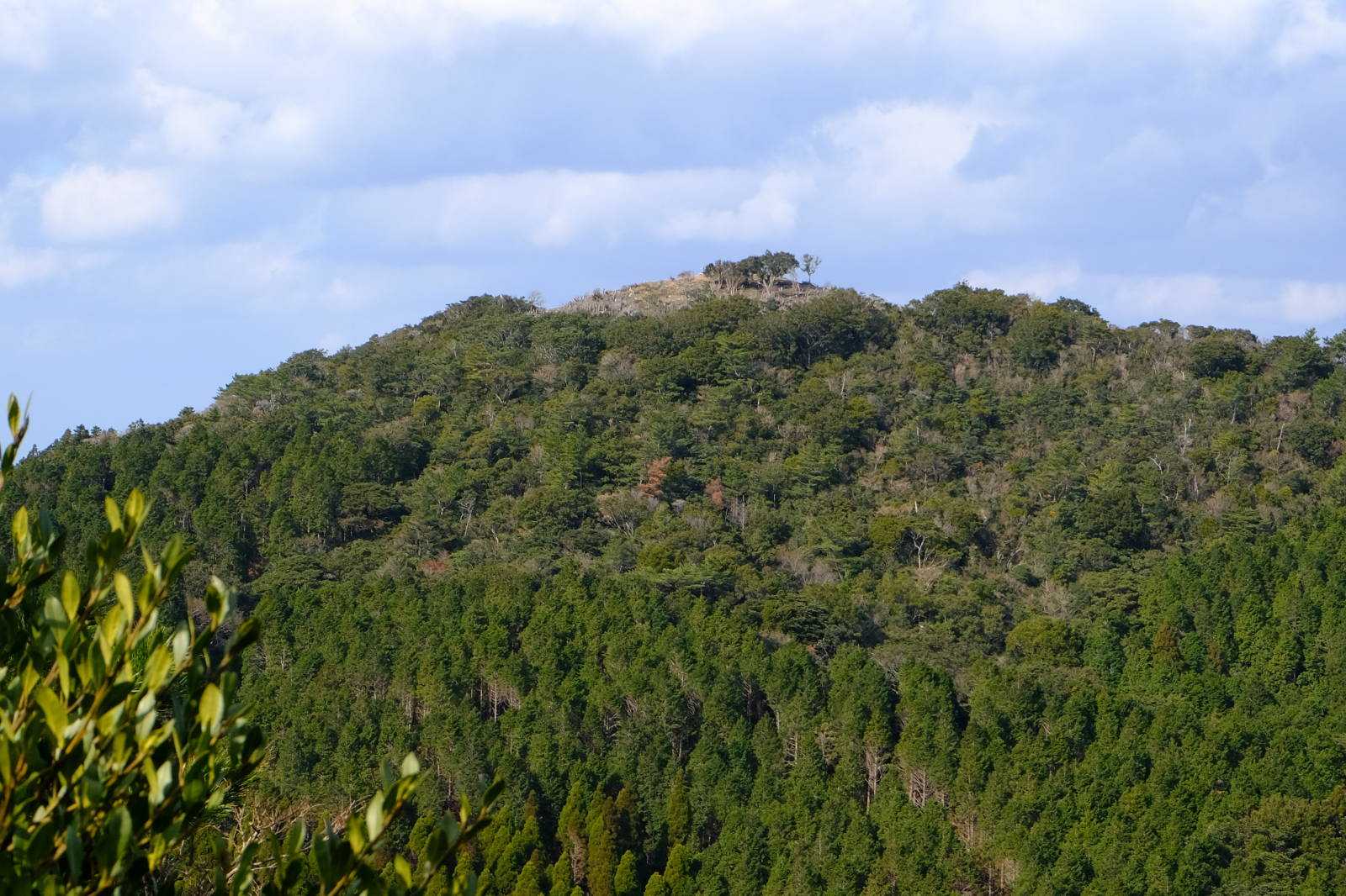 小八郎岳山頂から見た八郎岳、
何となく禿げ頭に見えます、かっこ悪い！