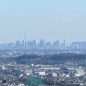 新宿とスカイツリー