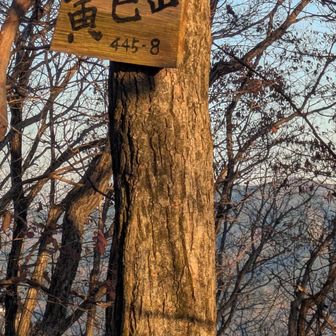 寅己山までの急登
わかっていたけど・・修行でした。