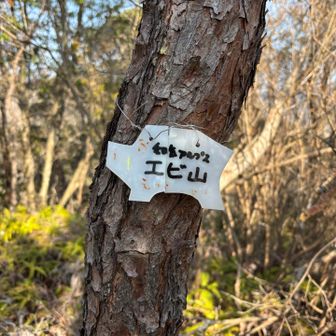 プレートが割れている