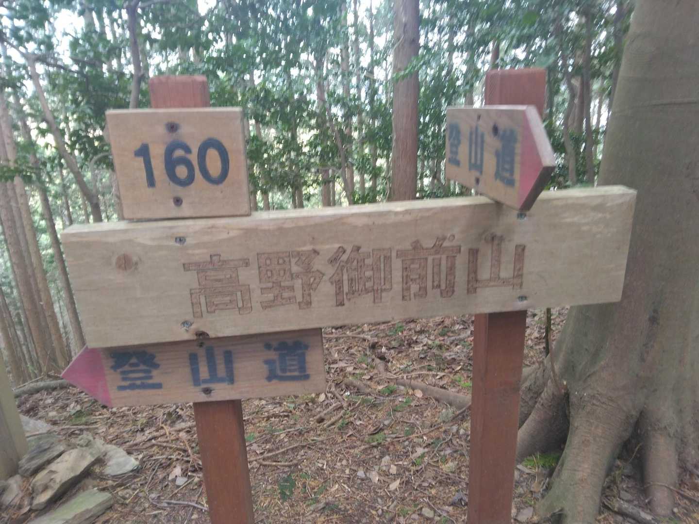高野御前山‥⛰️