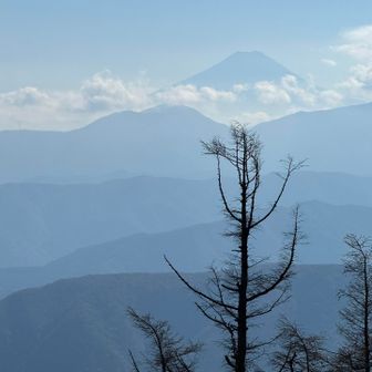 富士山はここですよ