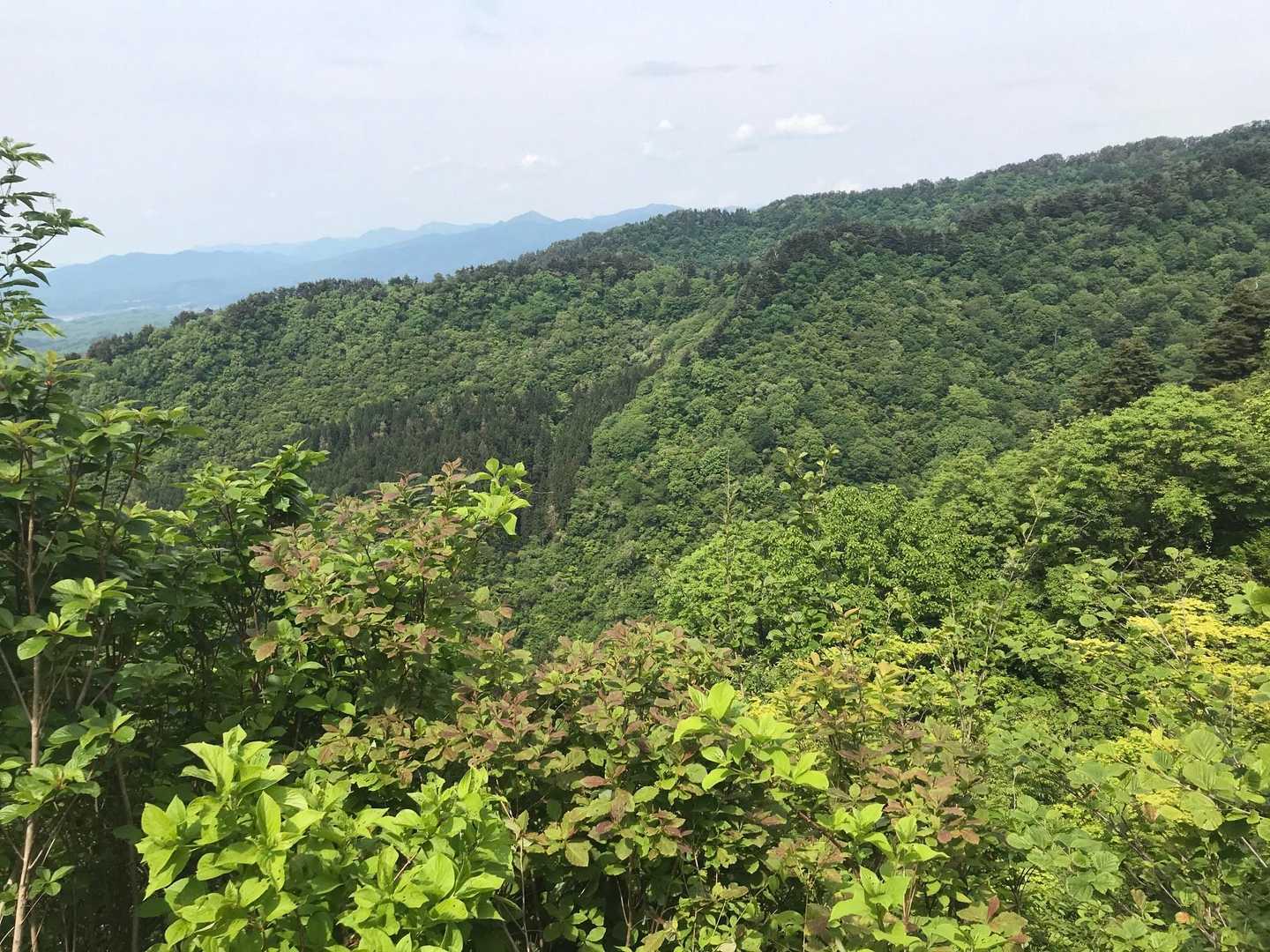 やっと見晴らし良いところが出てきました😊
