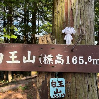 白王山✨

最初は白玉山やと思ってました