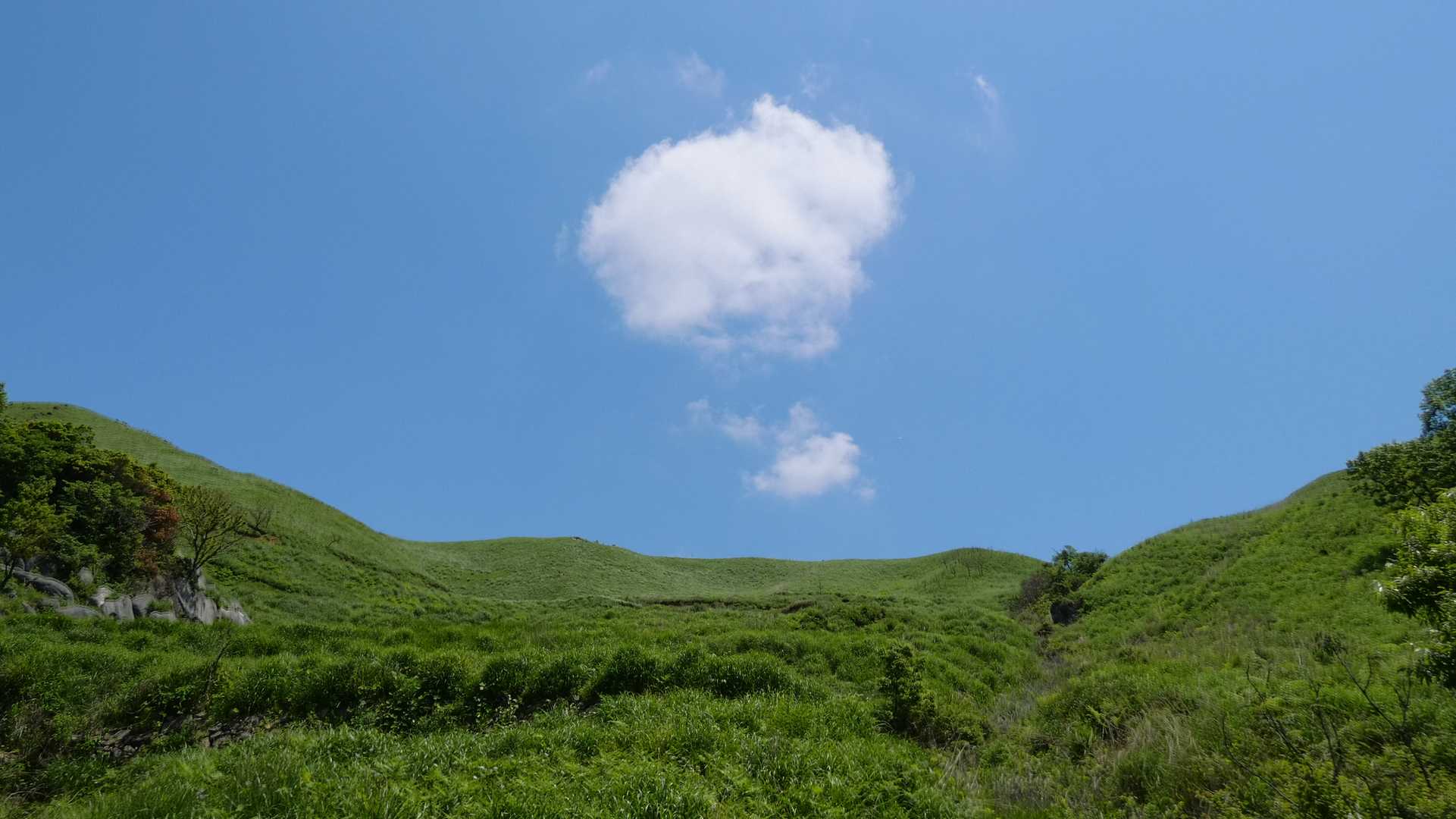 芳が谷から🏞️